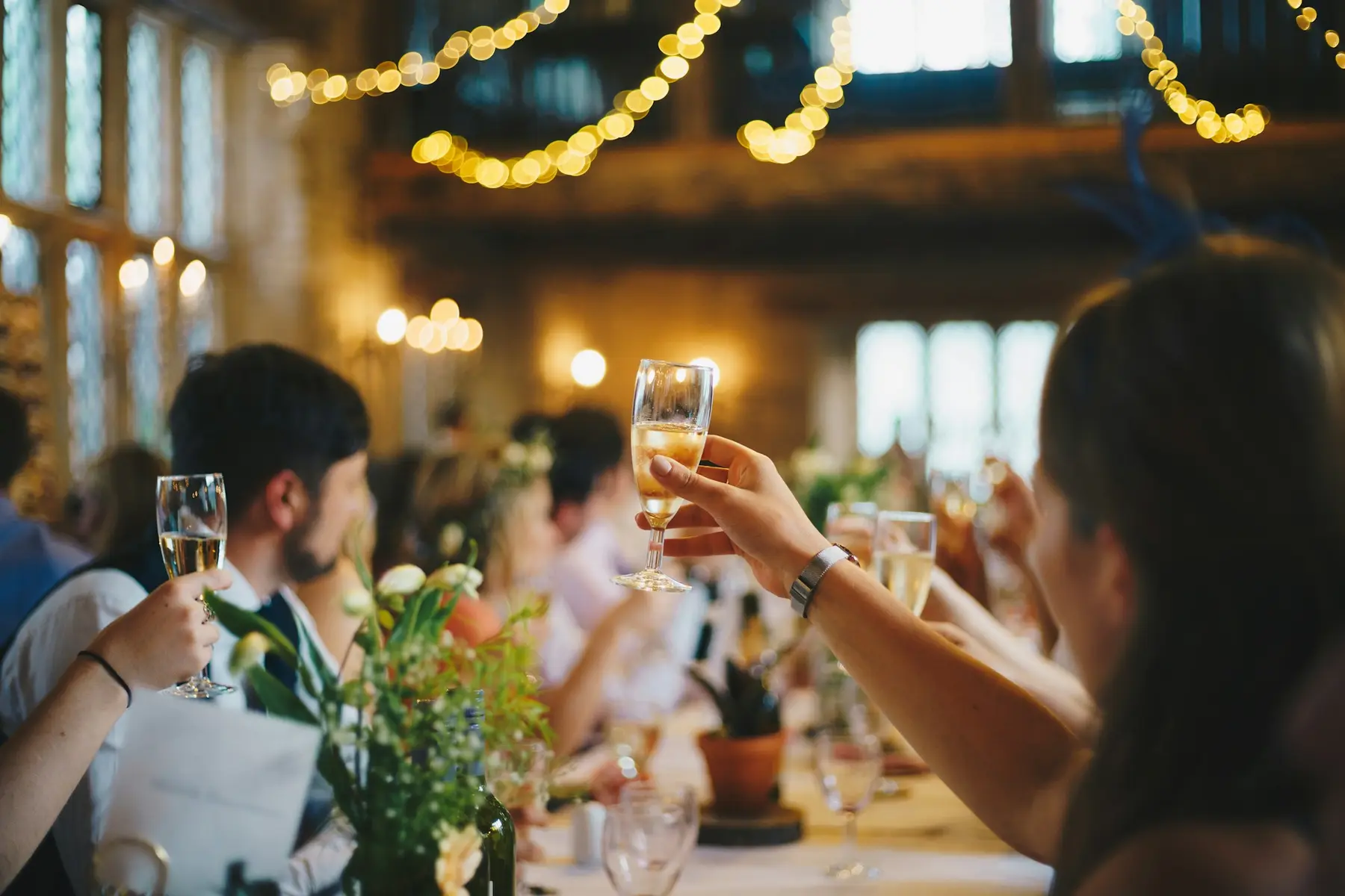 Guests raising a toast at a reception strung with fairy lights